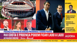 «Pode parecer que Proença está a esconder-se. E pode esconder-se, não é um crime achar que tem de resguardar-se»