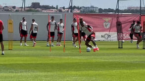 Benfica afina últimos detalhes para o jogo com o Hearts