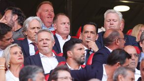 Pedro Proença na tribuna da Luz para seguir o Benfica-Hearts