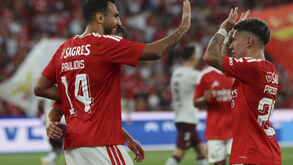 A festa do Benfica