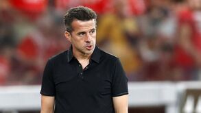 Marco Silva, treinador do Benfica