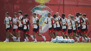 Benfica regressa este sábado aos treinos com foco total no Casa Pia