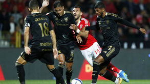 Na época passada os gansos conseguiram 2 empates com o Benfica