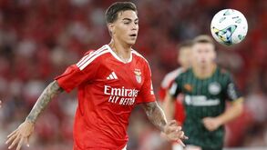 Enzo Barrenechea sofreu lesão no joelho esquerdo
