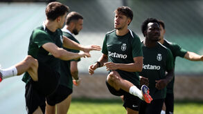 Rui Borges com direito a 'reforço' e a uma cara nova no regresso aos trabalhos do Sporting