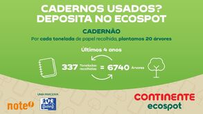 Cadernos usados: 337 toneladas recolhidas transformaram-se em 6740 árvores