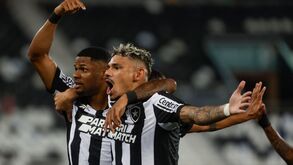 Tiquinho volta a casa