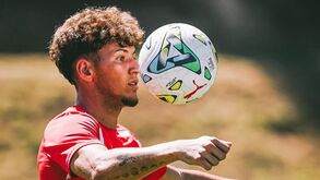 Diogo Travassos