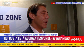 Rui Costa faz o ponto de situação das renovações de Schjelderup e Prestianni