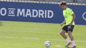 Álvarez regressa aos treinos