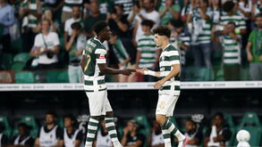 Renovação do Sporting rima com juventude: leões à porta do top-10 de equipas mais jovens da Europa