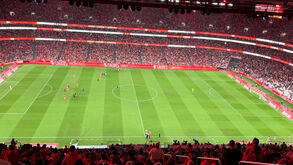 João Palhinha aplaudido de pé pelos adeptos do Benfica no momento da estreia