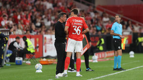 Marco Silva com Palhinha no Benfica-Estoril