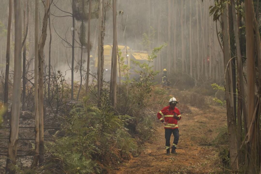 Bombeiros fazem o rescaldo em Massadas, no concelho de Águeda, após a passagem do incêndio que começou ontem em Vouzela