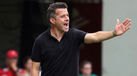 Marco Silva, treinador do Benfica