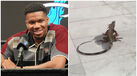Giannis Antetokounmpo vive um pesadelo em Miami por causa das iguanas