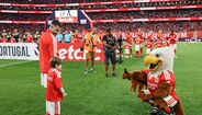 Salvador entrou de mão dada com Rafa Silva