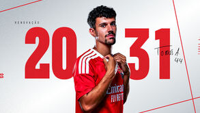 Tomás Araújo renova pelo Benfica até 2031