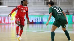 O jogador em ação