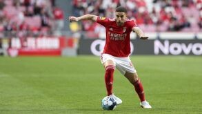 Taarabt em ação no Benfica