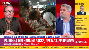 Bernardo Ribeiro: «Palhinha tem pedalada de anos na Premier League e isso separa-o dos restantes. Daí ao endeusamento...»
