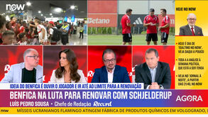 Luís Pedro Sousa: «Schjelderup começa a não caber no futebol português»
