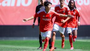 Benfica celebra goleada ao Farense