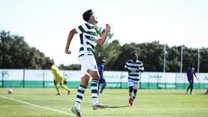 Futebolista comemora golo em campo relvado