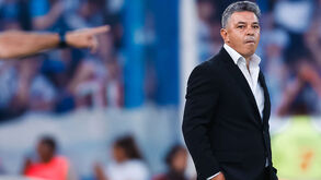 Marcelo Gallardo