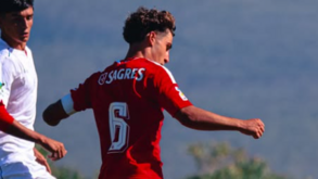 Liga Next Gen: Benfica vence U. Leiria e deixa último lugar  