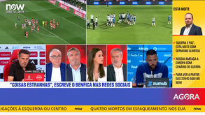 Bocas de Farioli e Benfica condicionam a arbitragem do clássico? «Há árbitros mais sensíveis do que outros, mas a maioria já nem liga»