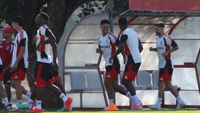 As últimas 'afinações' do Benfica antes de defrontar o Milan de Ruben Amorim