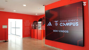 Benfica mostra imagens da viagem para Milão e da visita a San Siro