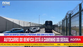 As imagens da chegada do Benfica a Lisboa depois da vitória em Milão