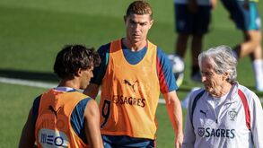 Treinos Treinador, selecionador nacional e jogadores