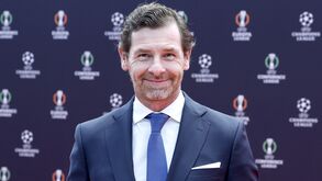 André Villas-Boas, presidente do FC Porto
