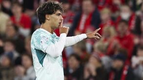 Avançado tem-se destacado na Seleção