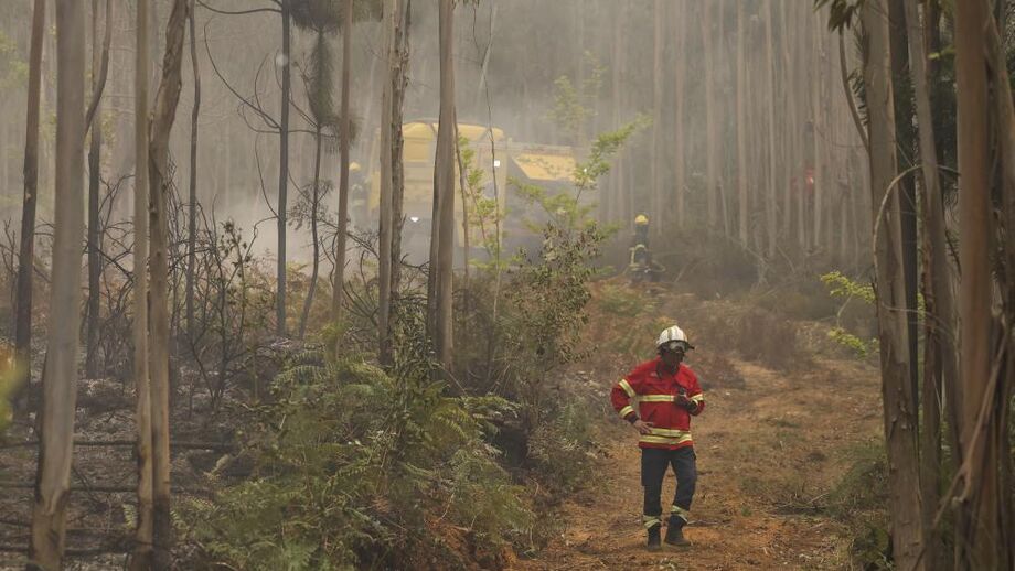 Bombeiros fazem o rescaldo em Massadas, no concelho de Águeda, após a passagem do incêndio que começou ontem em Vouzela