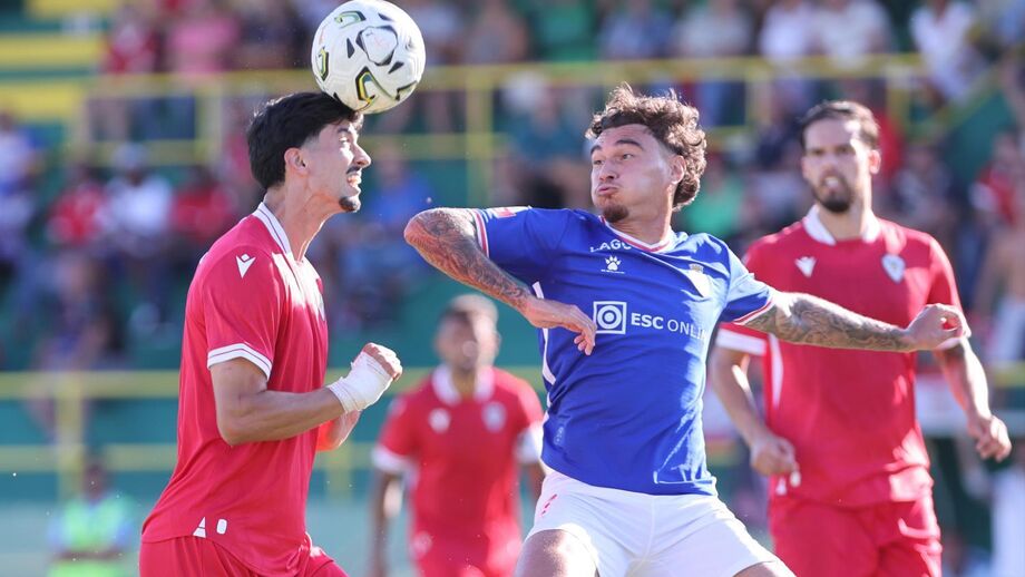 Os jogadores em recepção da bola