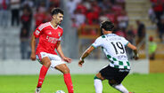 Tomás Araújo