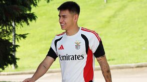 Echeverri vestindo a camisola do Benfica