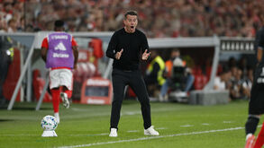 Marco Silva reage durante o Benfica-V. Guimarães
