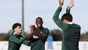 Rui Borges afina armas para a Champions: o último treino do Sporting antes da partida para Lens