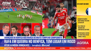 Vítor Almeida Gonçalves: «O preço do metro quadrado no onze do Benfica está muito alto»