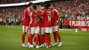 Plantel atual do Benfica valorizou os jogadores contratados em 323 milhões de euros