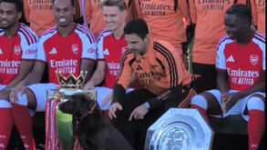 O que faz uma cadela na foto oficial do Arsenal? A curiosa história de Win