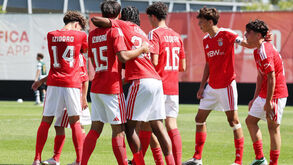Benfica é líder da série 2 do campeonato de juvenis com 22 pontos 