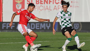 Benfica ocupa o 12º lugar da Liga Next Gen