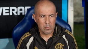 Leonardo Jardim, treinador do Flamengo, frente ao Estudiantes