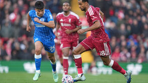 Liverpool bate Brighton